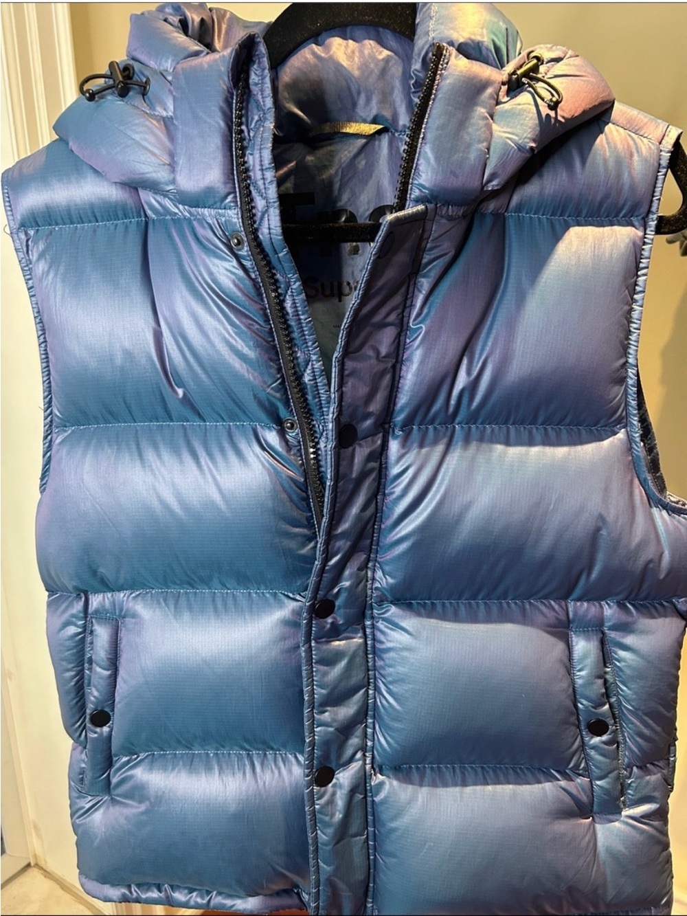 Aritzia TNA Iridescent Blue Puffer Vest with Hood